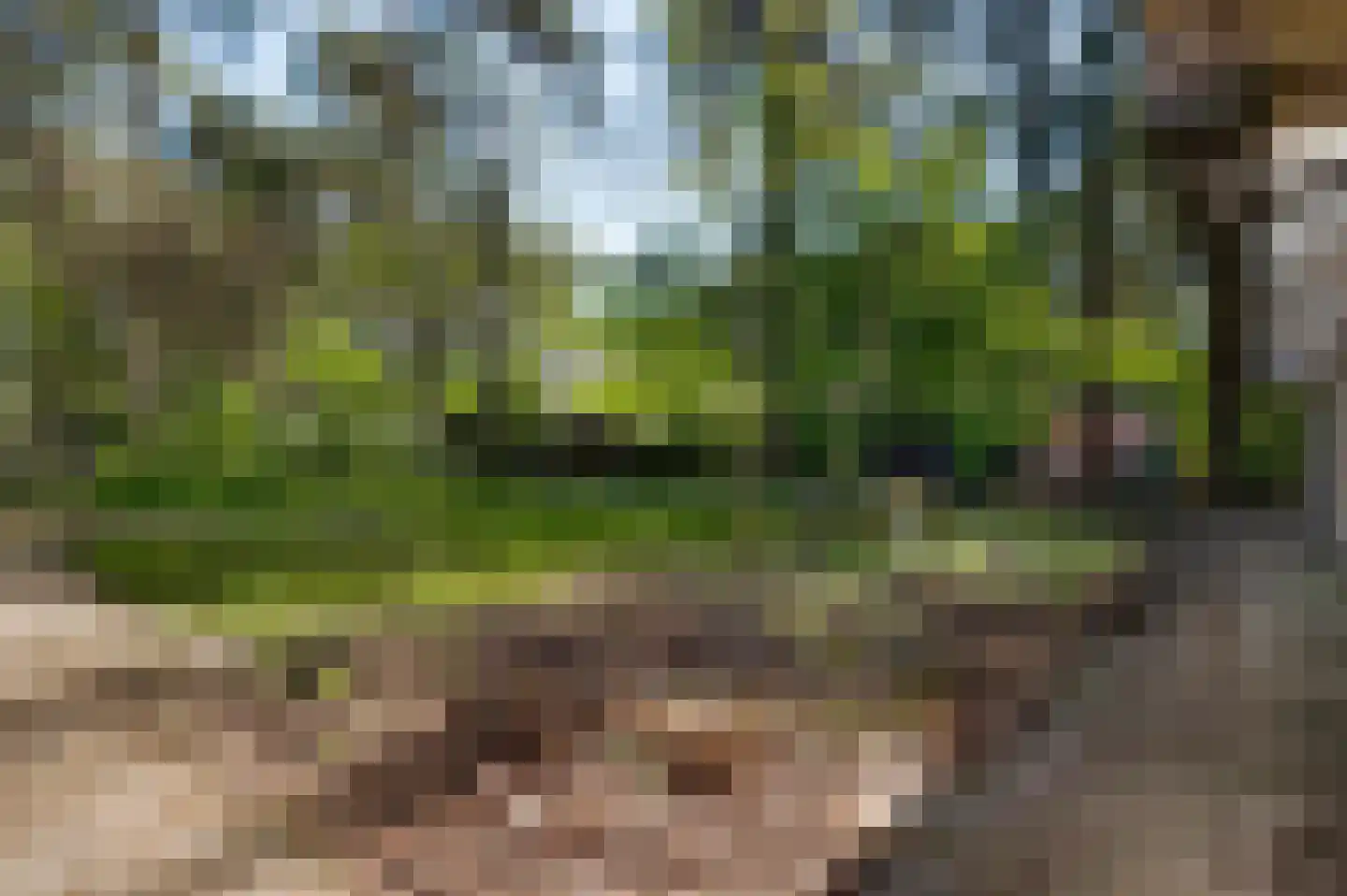 Fazantlaan 21 Leende thumbnail 6