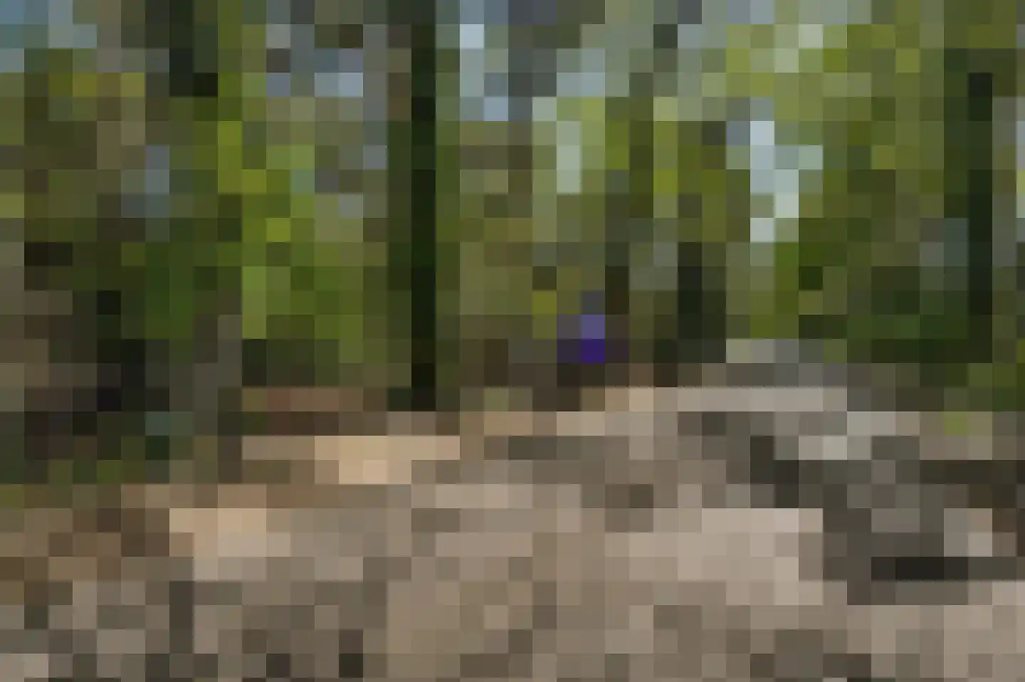 Fazantlaan 21 Leende thumbnail 6