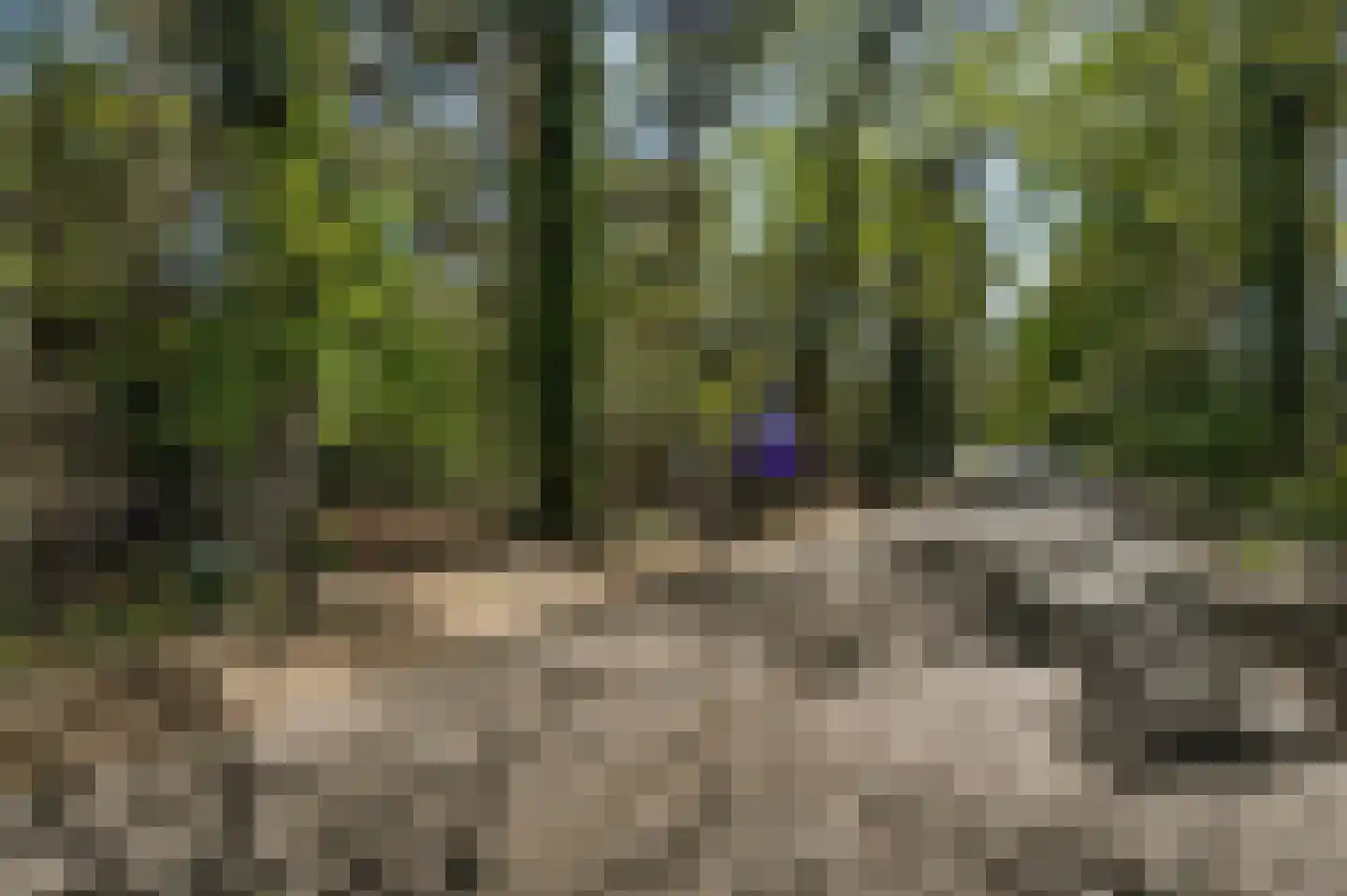 Fazantlaan 21 Leende thumbnail 7