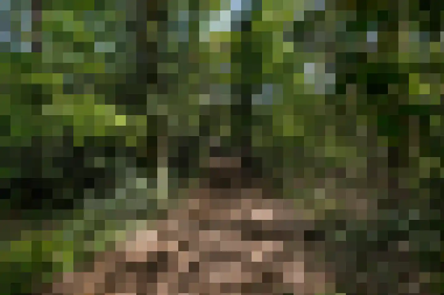 Fazantlaan 21 Leende thumbnail 8