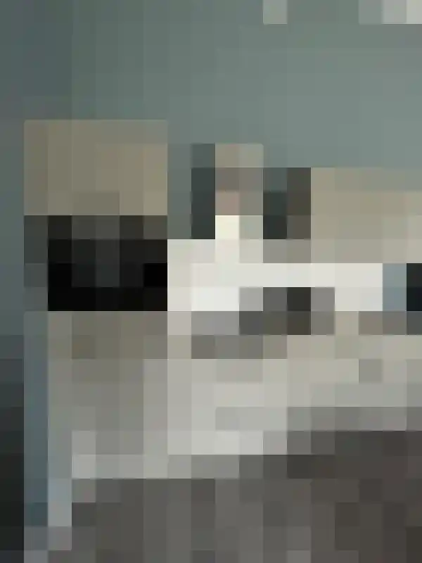Fazantlaan 3 Eindhoven thumbnail 4