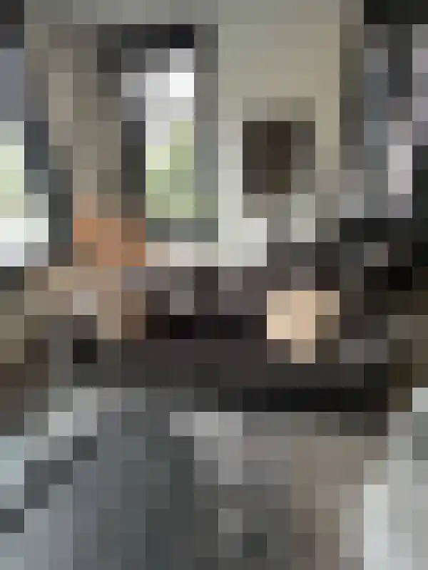 Fazantlaan 3 Eindhoven thumbnail 4