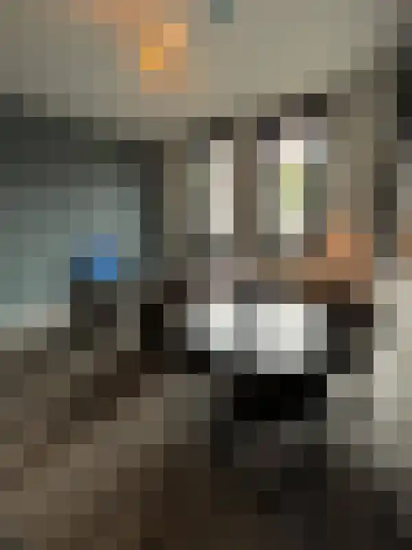 Fazantlaan 3 Eindhoven thumbnail 5