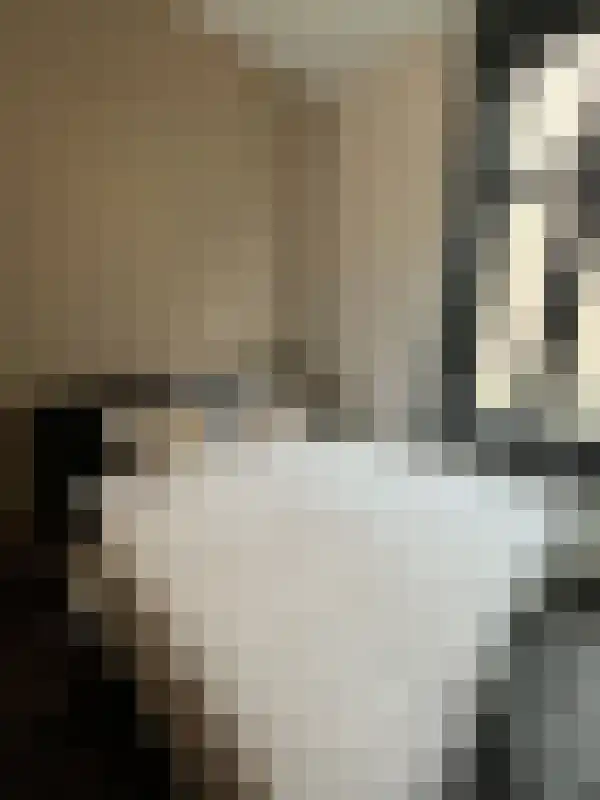 Fazantlaan 3 Eindhoven thumbnail 5