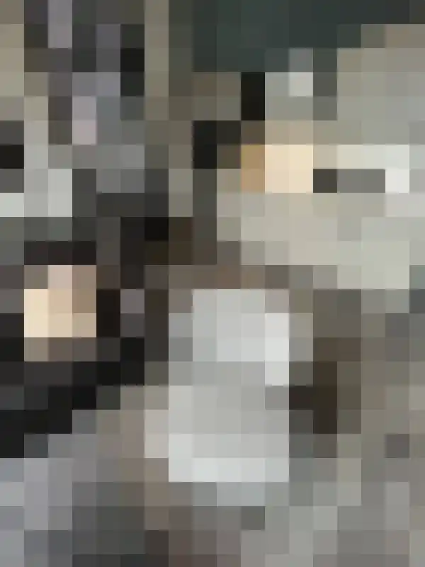 Fazantlaan 3 Eindhoven thumbnail 6