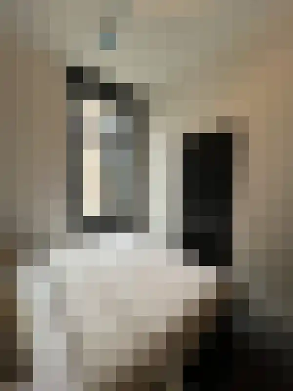Fazantlaan 3 Eindhoven thumbnail 6