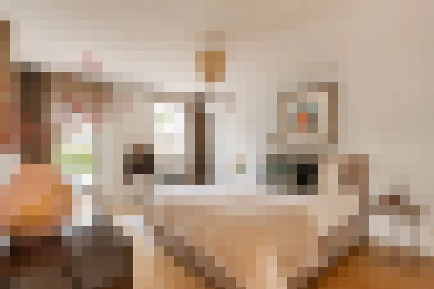 Fazantlaan 3 F Eindhoven thumbnail 23