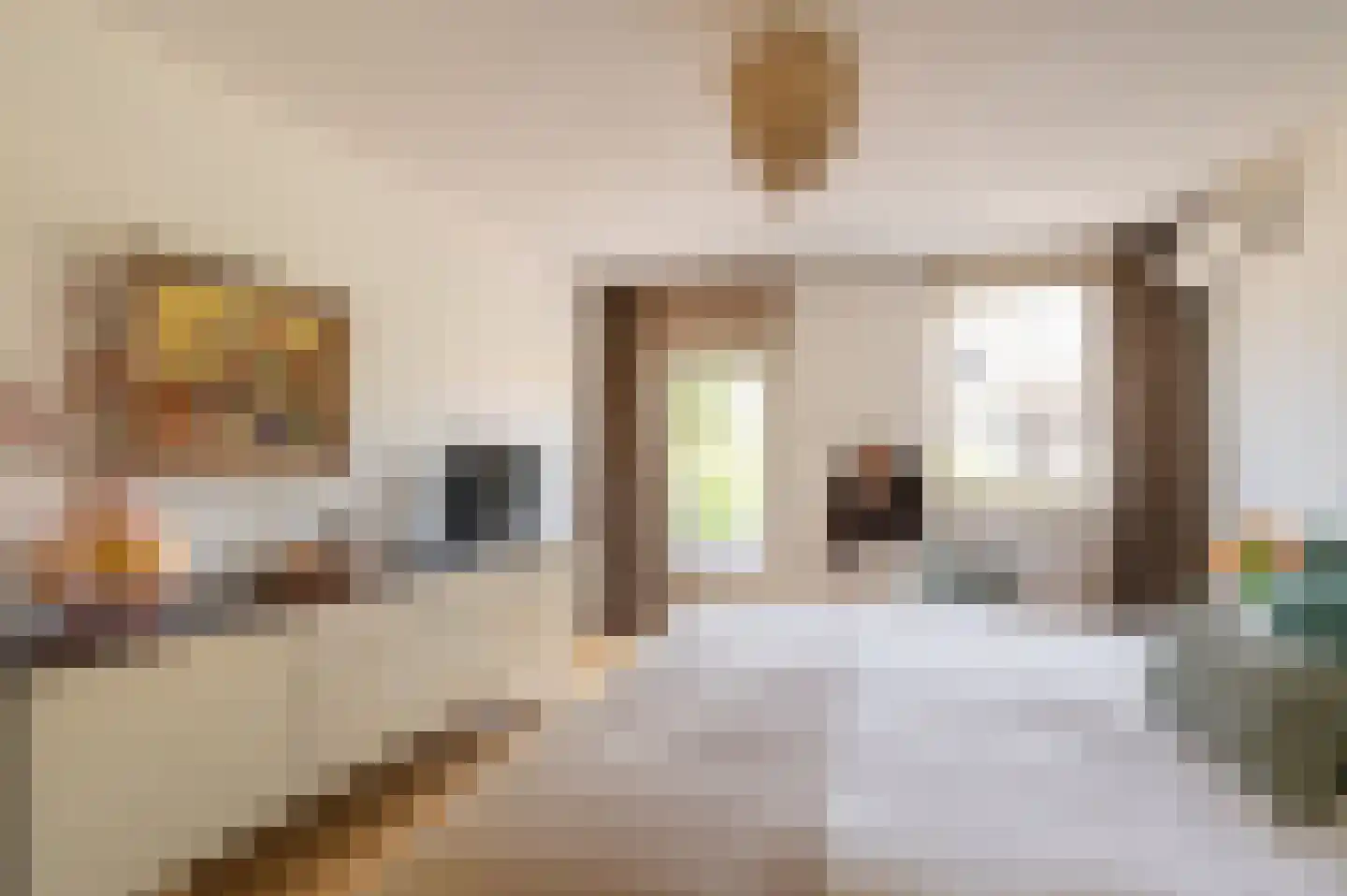 Fazantlaan 3 F Eindhoven thumbnail 24
