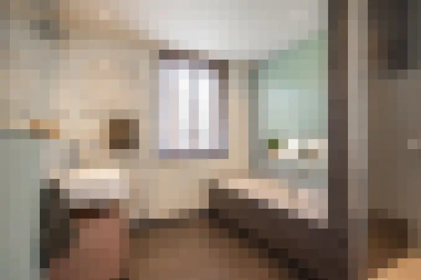 Fazantlaan 3 F Eindhoven thumbnail 27