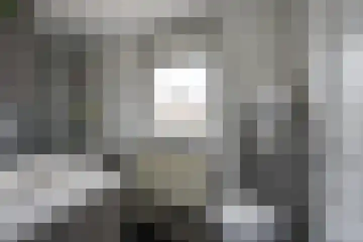 Fazantlaan 32 Mierlo thumbnail 14