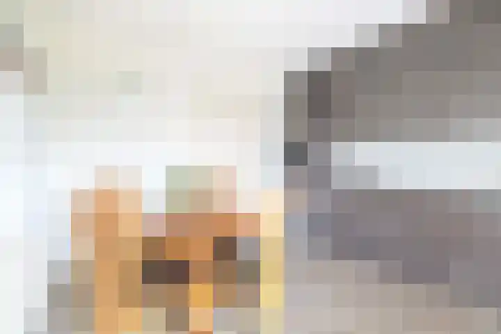 Fazantlaan 32 Mierlo thumbnail 23