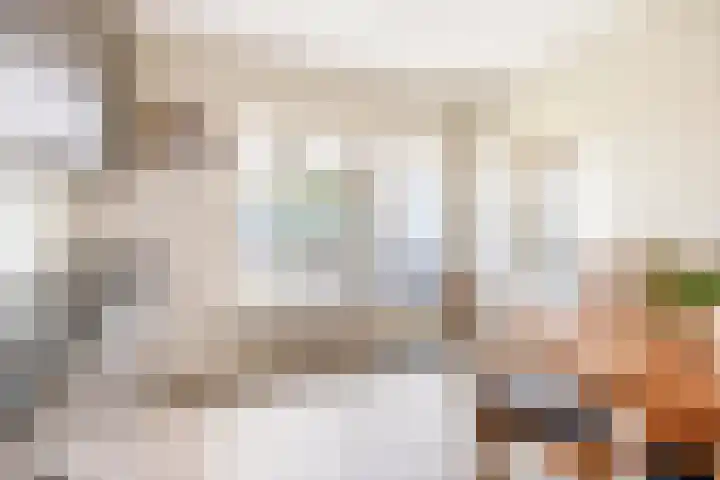 Fazantlaan 32 Mierlo thumbnail 24