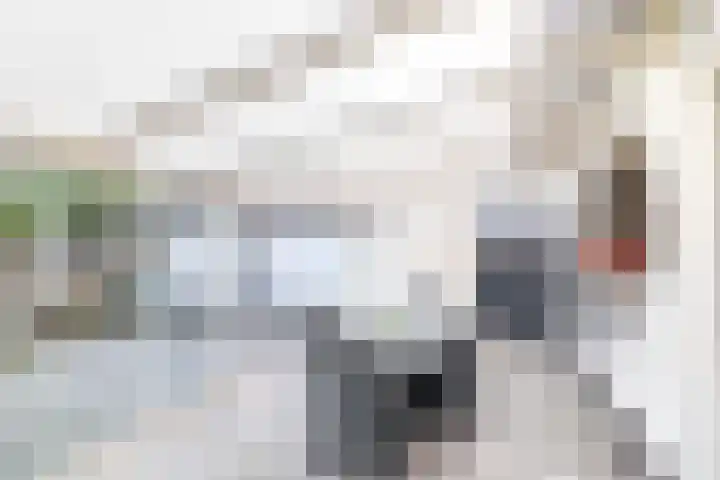 Fazantlaan 32 Mierlo thumbnail 29