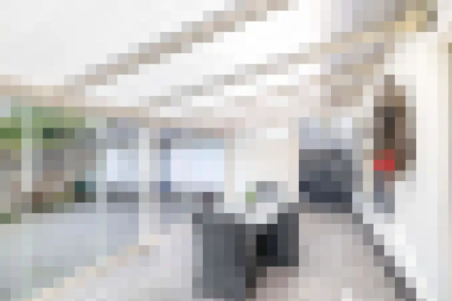 Fazantlaan 32 Mierlo thumbnail 29