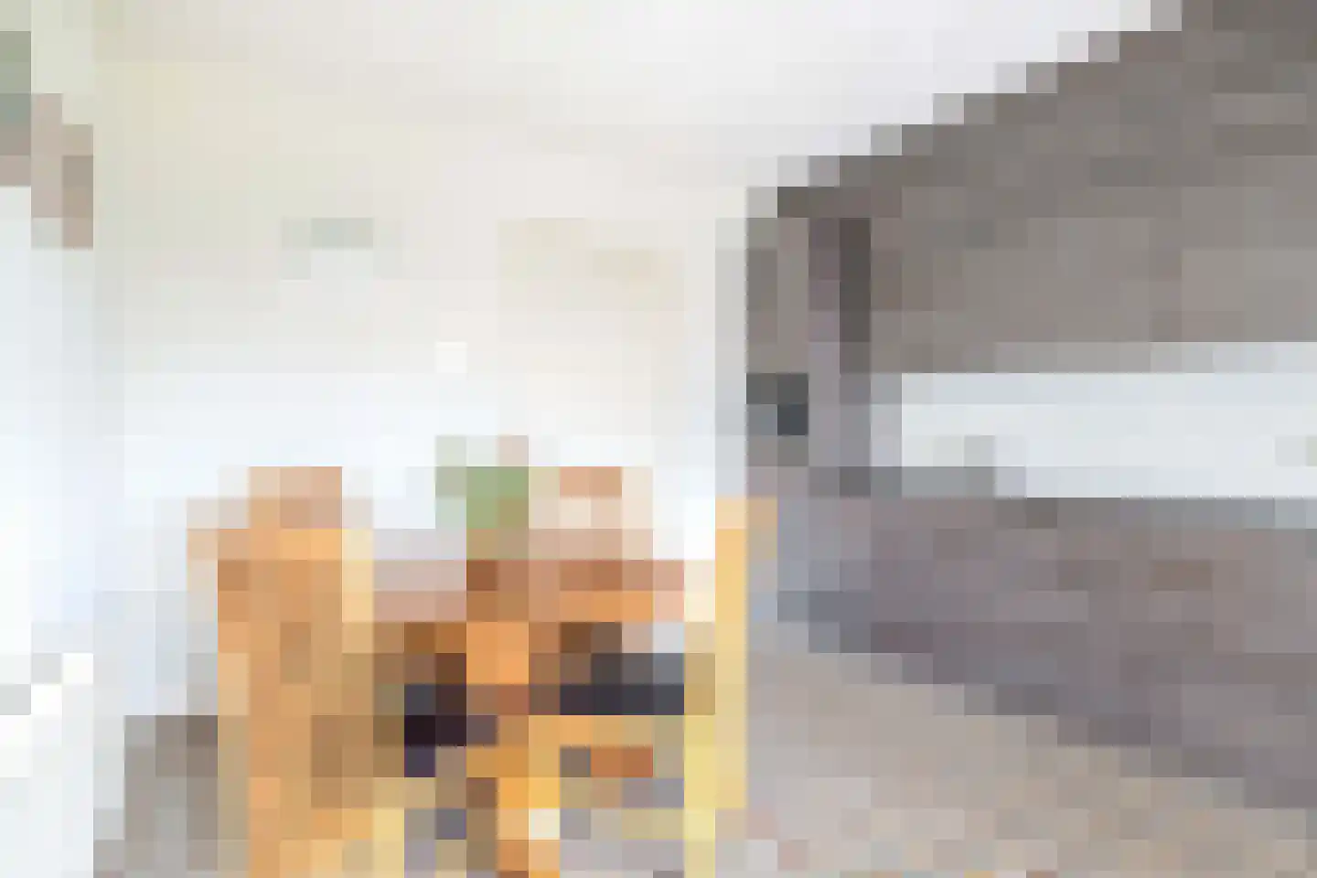 Fazantlaan 32 Mierlo foto 3