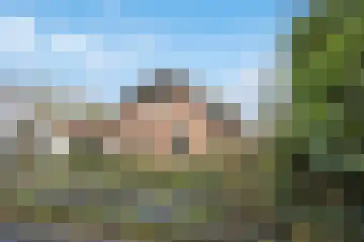 Fazantlaan 32 Mierlo thumbnail 31