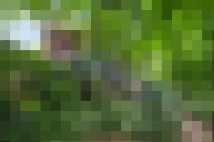 Fazantlaan 32 Mierlo thumbnail 32