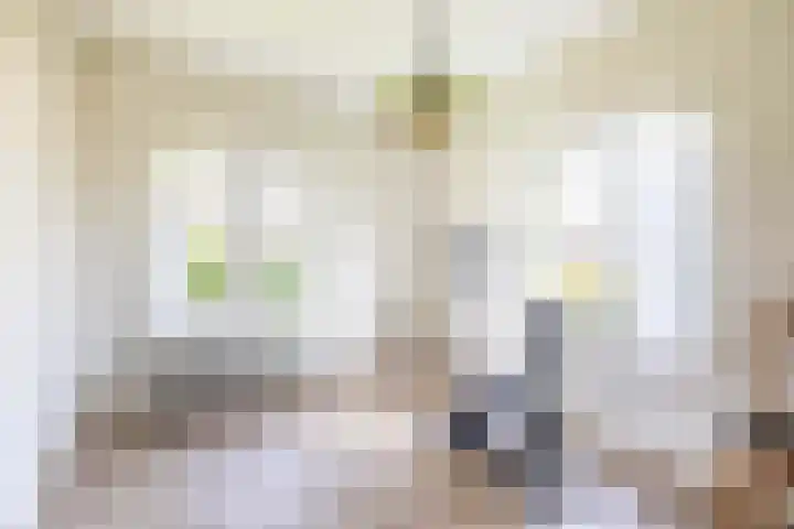 Fazantlaan 32 Mierlo thumbnail 35