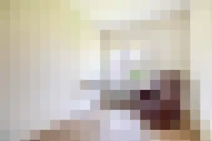 Fazantlaan 32 Mierlo thumbnail 36