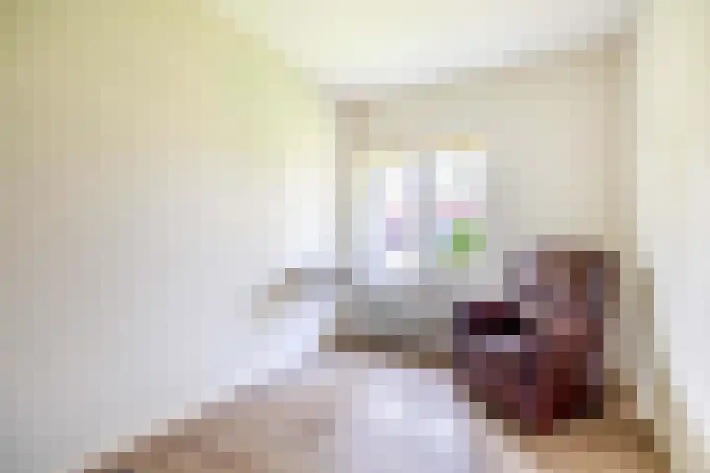 Fazantlaan 32 Mierlo thumbnail 36