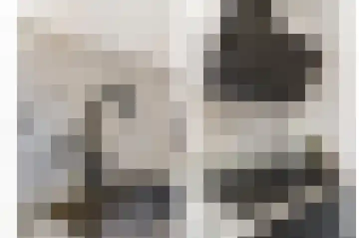 Fazantlaan 32 Mierlo thumbnail 39