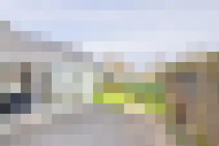 Fazantlaan 32 Mierlo thumbnail 4