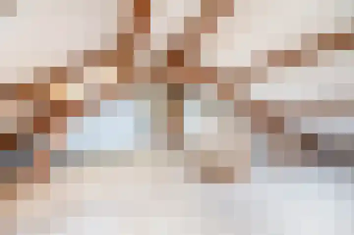 Fazantlaan 32 Mierlo thumbnail 40