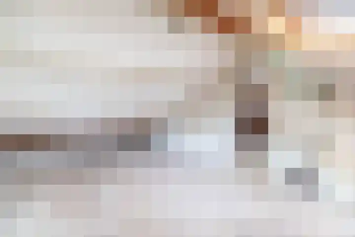Fazantlaan 32 Mierlo thumbnail 42