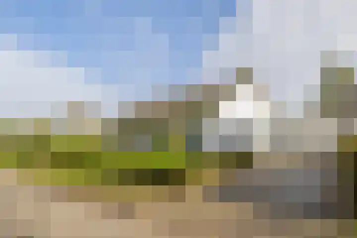 Fazantlaan 32 Mierlo thumbnail 46