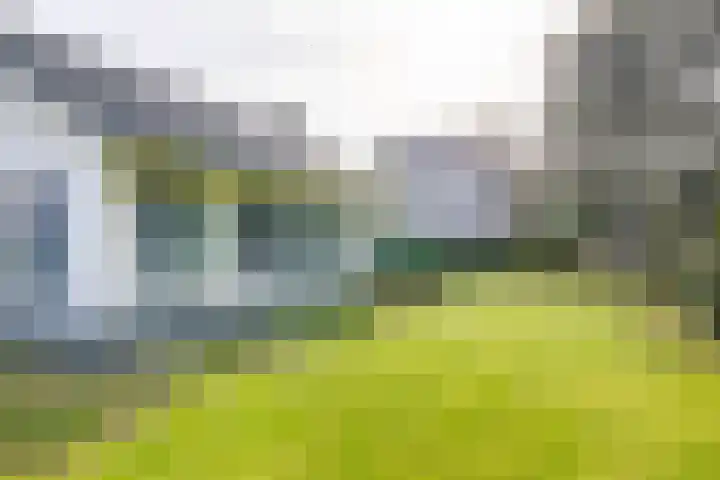 Fazantlaan 32 Mierlo thumbnail 47