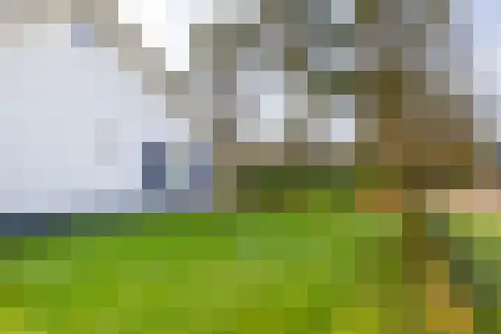 Fazantlaan 32 Mierlo thumbnail 48