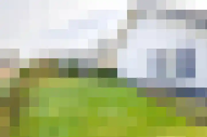 Fazantlaan 32 Mierlo thumbnail 49