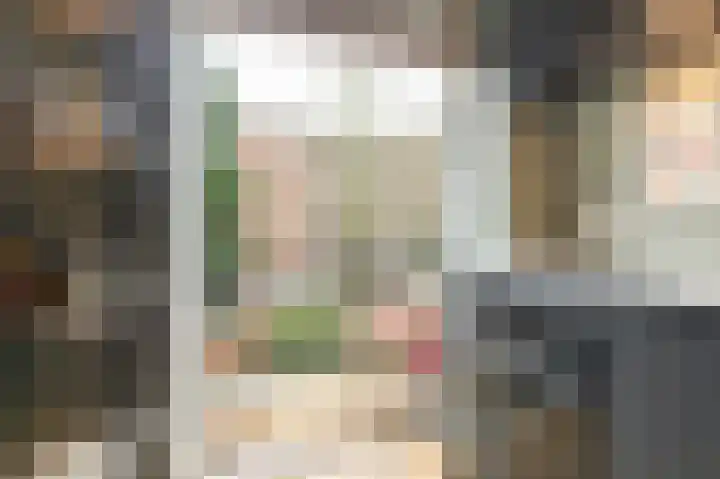 Fazantlaan 32 Mierlo thumbnail 53