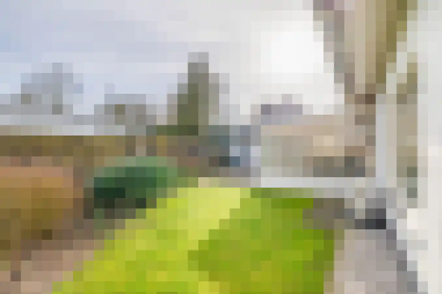 Fazantlaan 32 Mierlo thumbnail 54