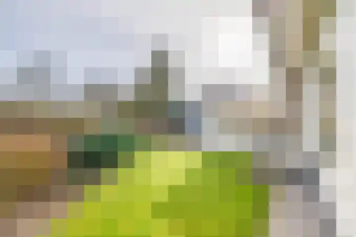 Fazantlaan 32 Mierlo thumbnail 54