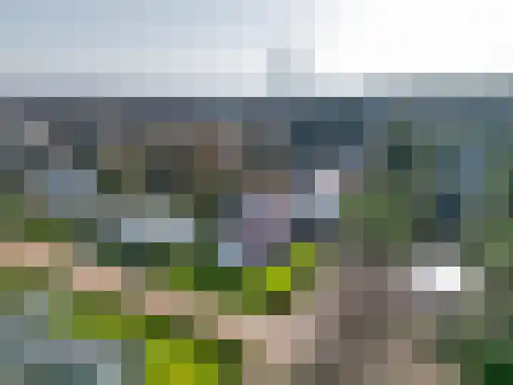 Fazantlaan 32 Mierlo thumbnail 55