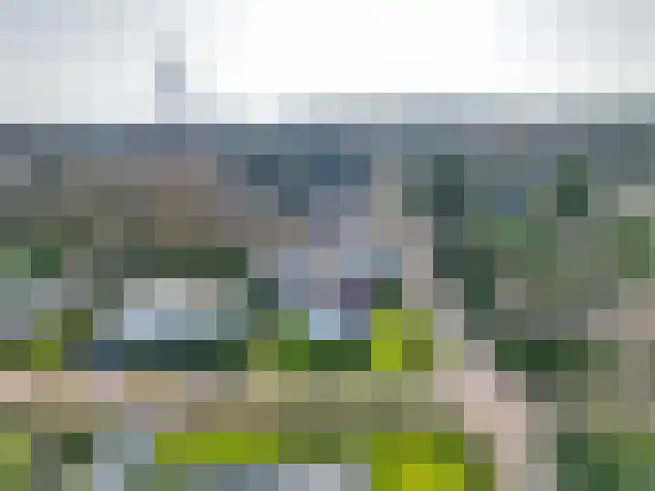 Fazantlaan 32 Mierlo thumbnail 56