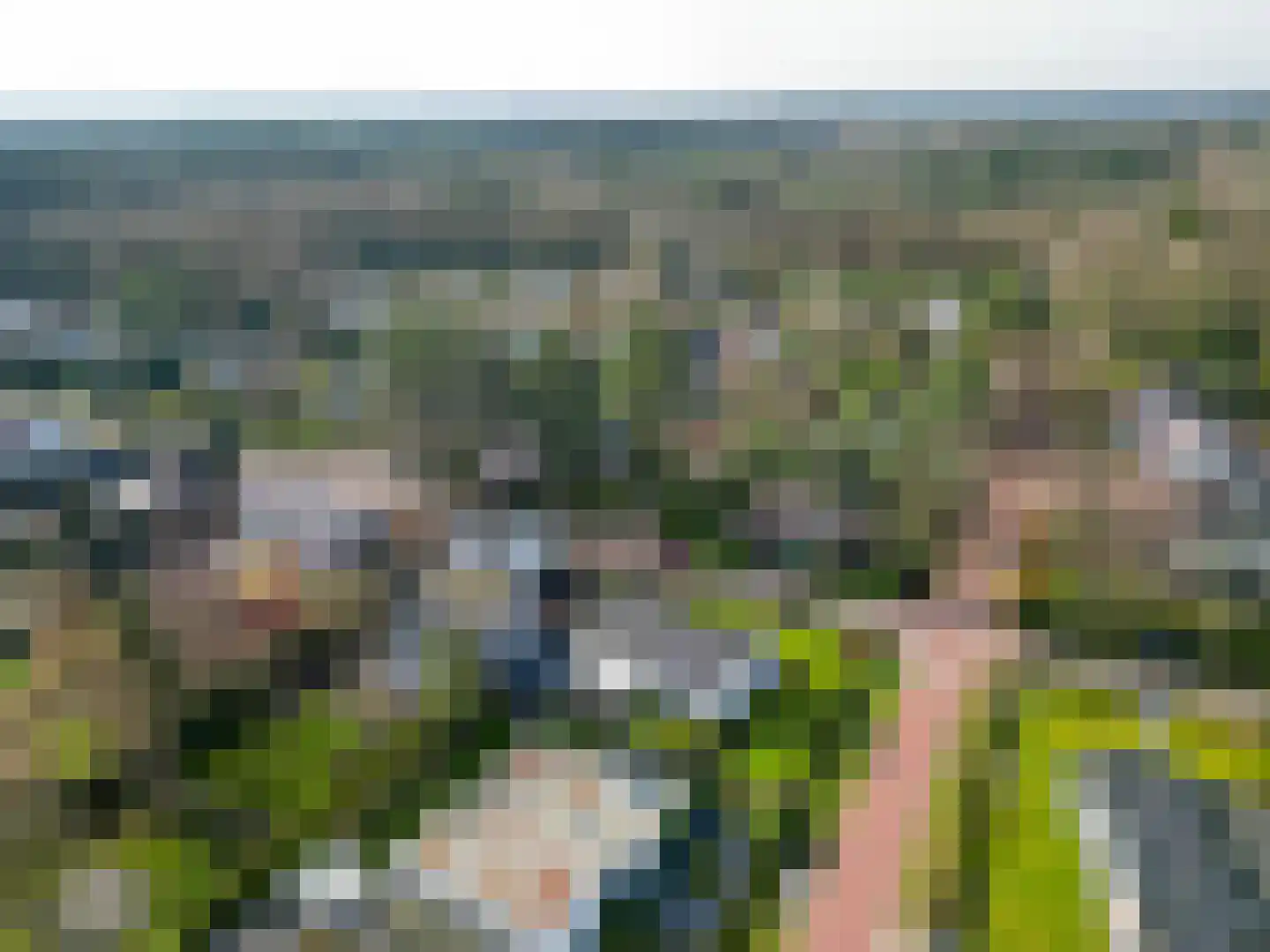 Fazantlaan 32 Mierlo thumbnail 57