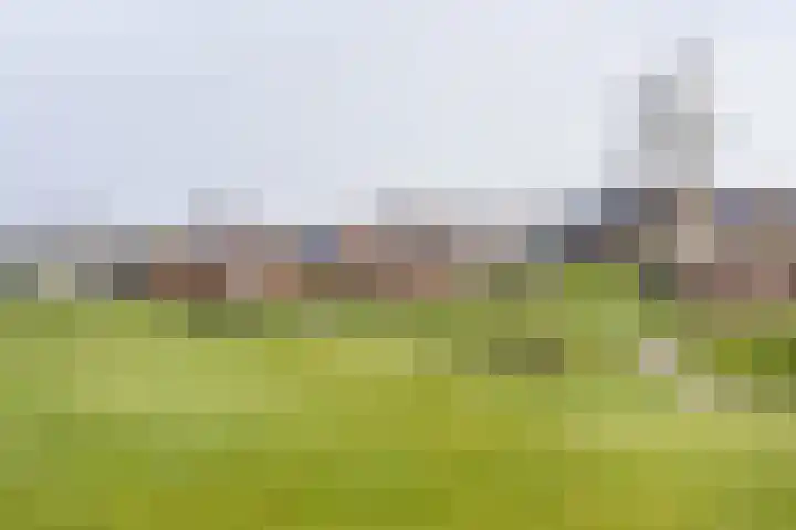 Fazantlaan 32 Mierlo thumbnail 59