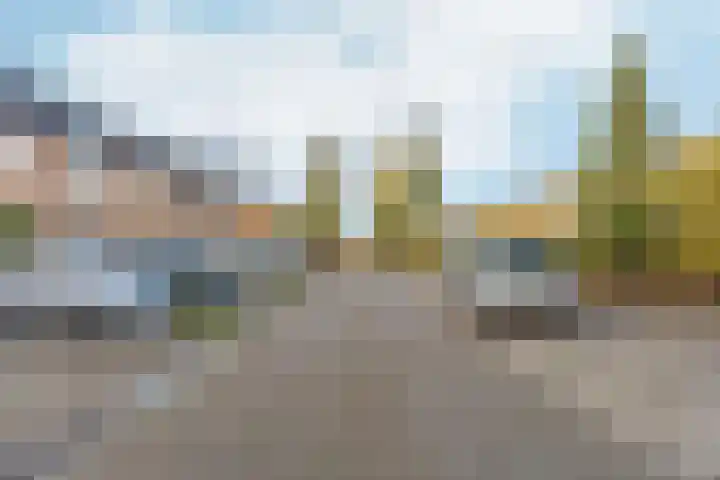 Fazantlaan 32 Mierlo thumbnail 7