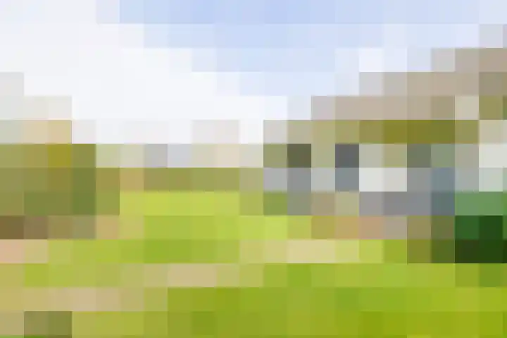 Fazantlaan 32 Mierlo thumbnail 9