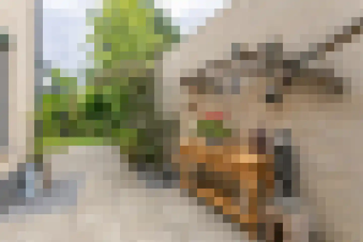 Fazantlaan 33 Brunssum thumbnail 30