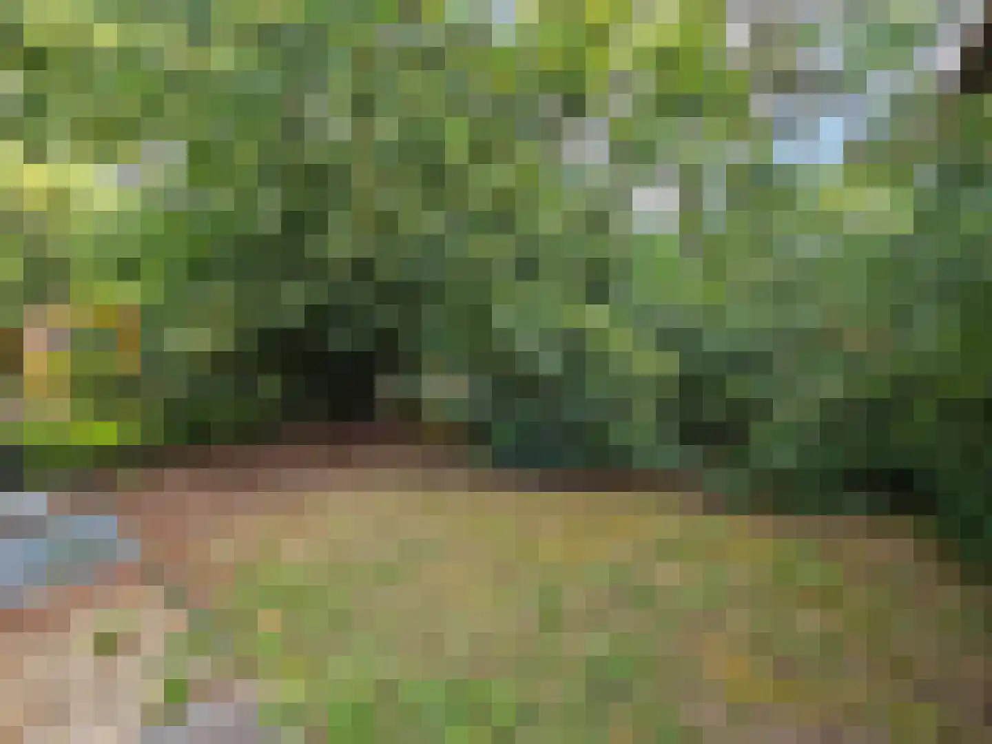 Fazantlaan 4 B11 Ermelo thumbnail 23