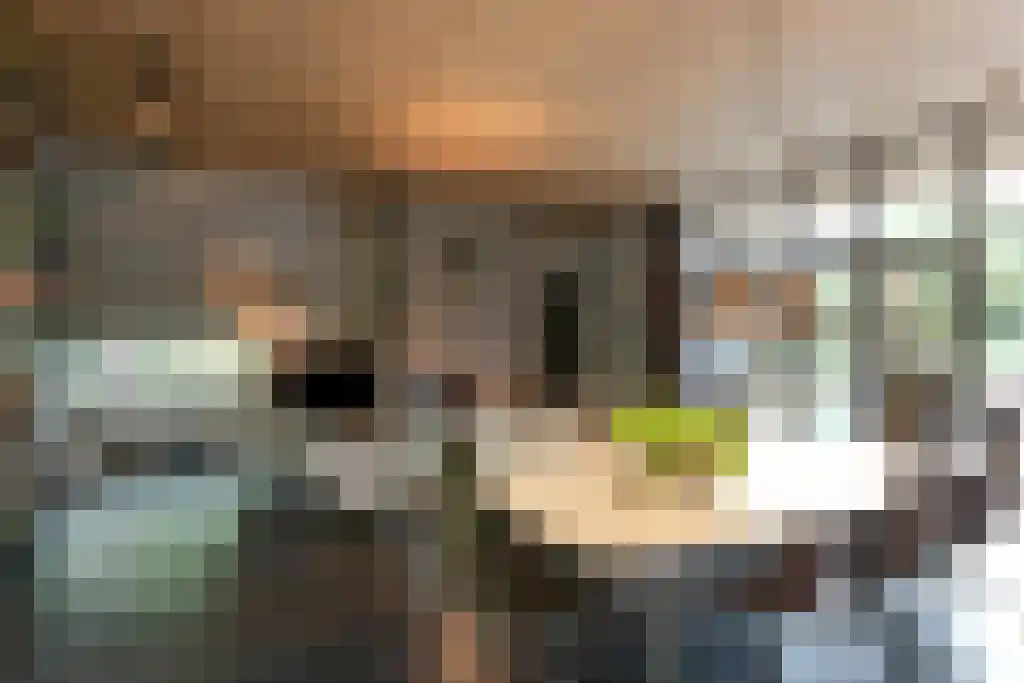 Fazantlaan 4 Leende thumbnail 6