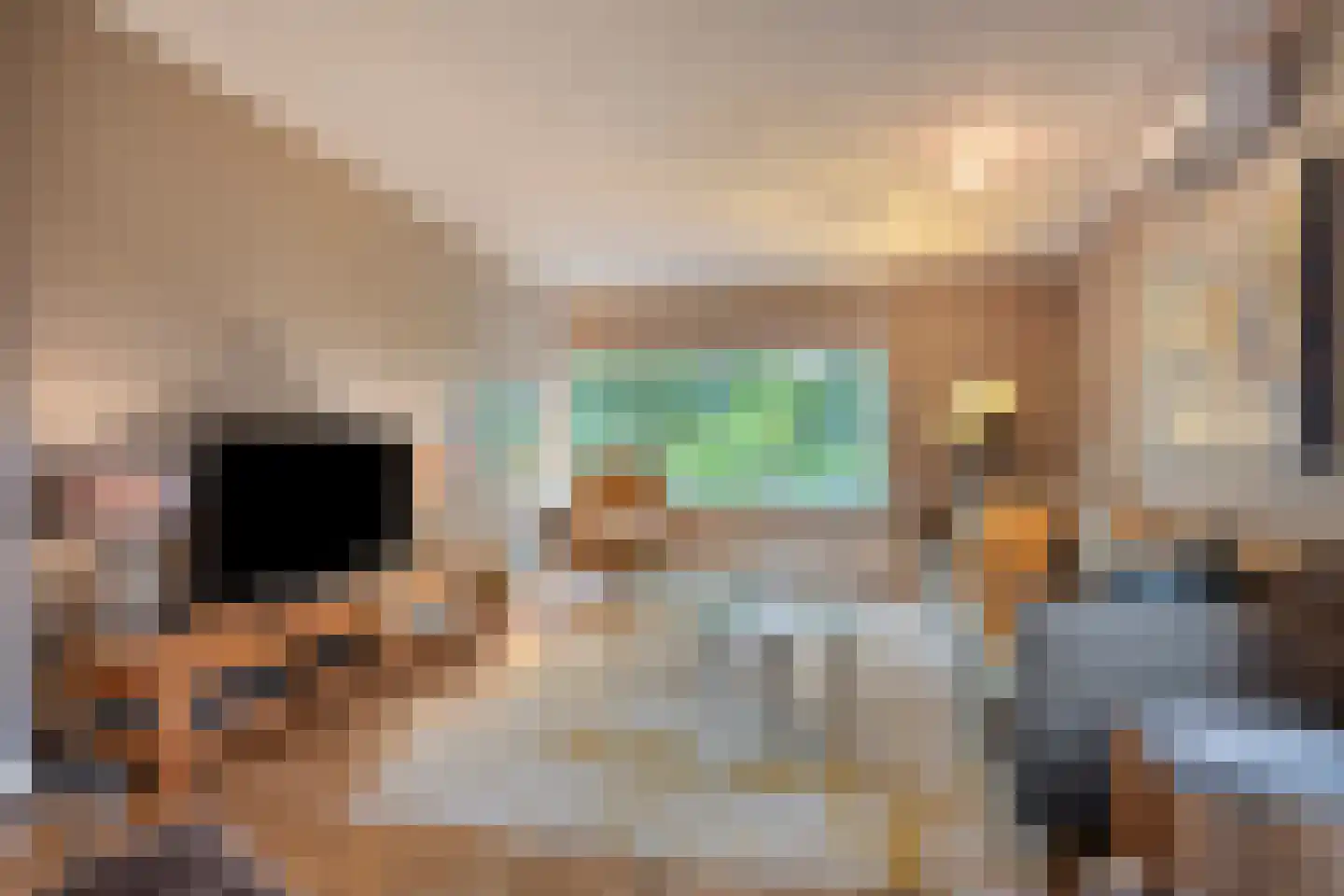 Fazantlaan 40 Mierlo thumbnail 12