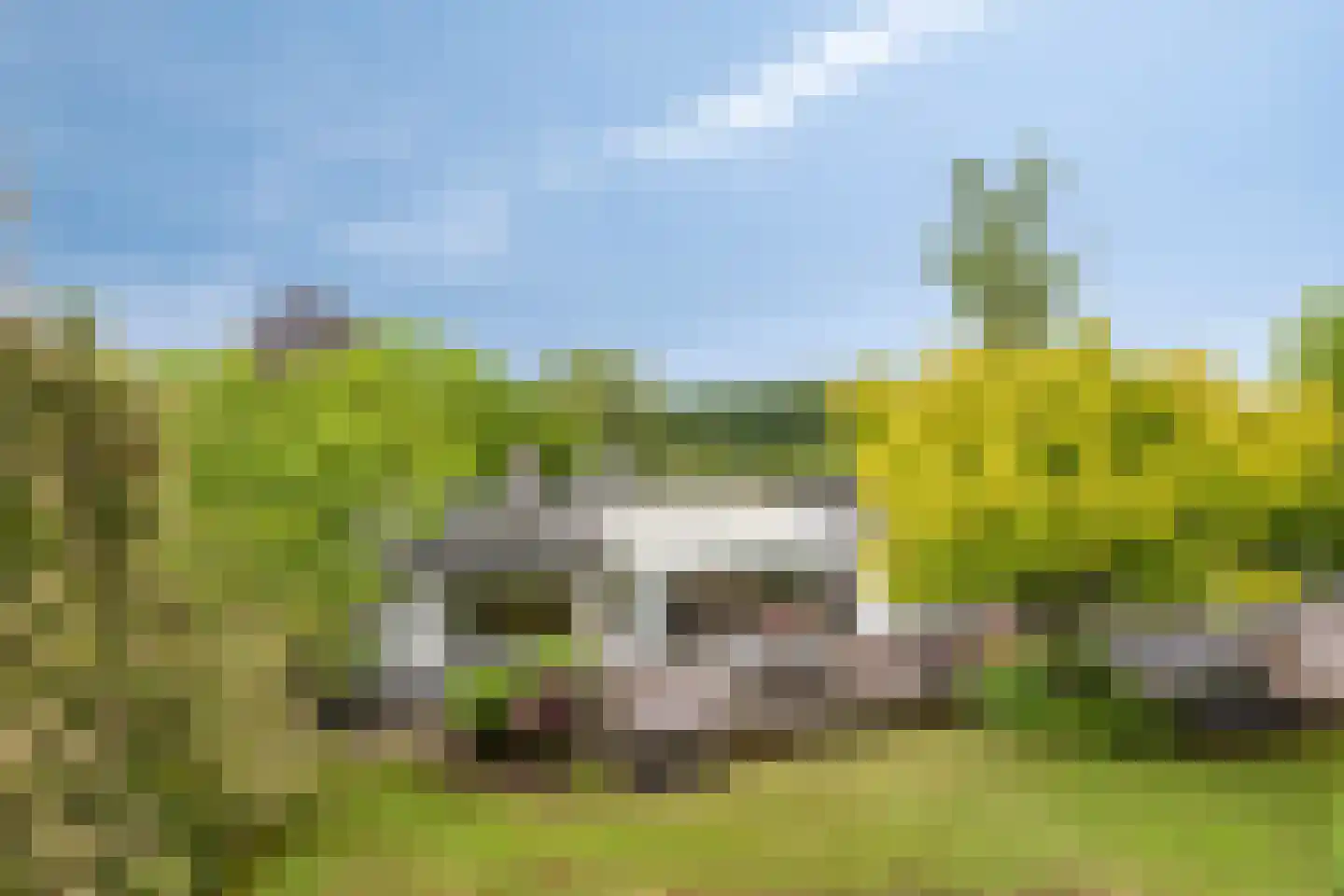 Fazantlaan 40 Mierlo foto 2