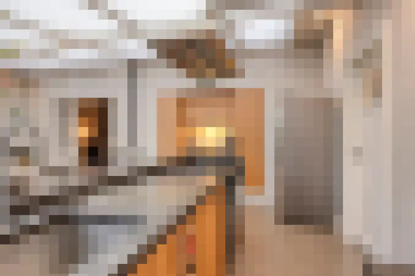 Fazantlaan 40 Mierlo thumbnail 29