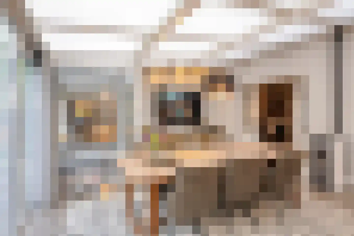 Fazantlaan 40 Mierlo thumbnail 30