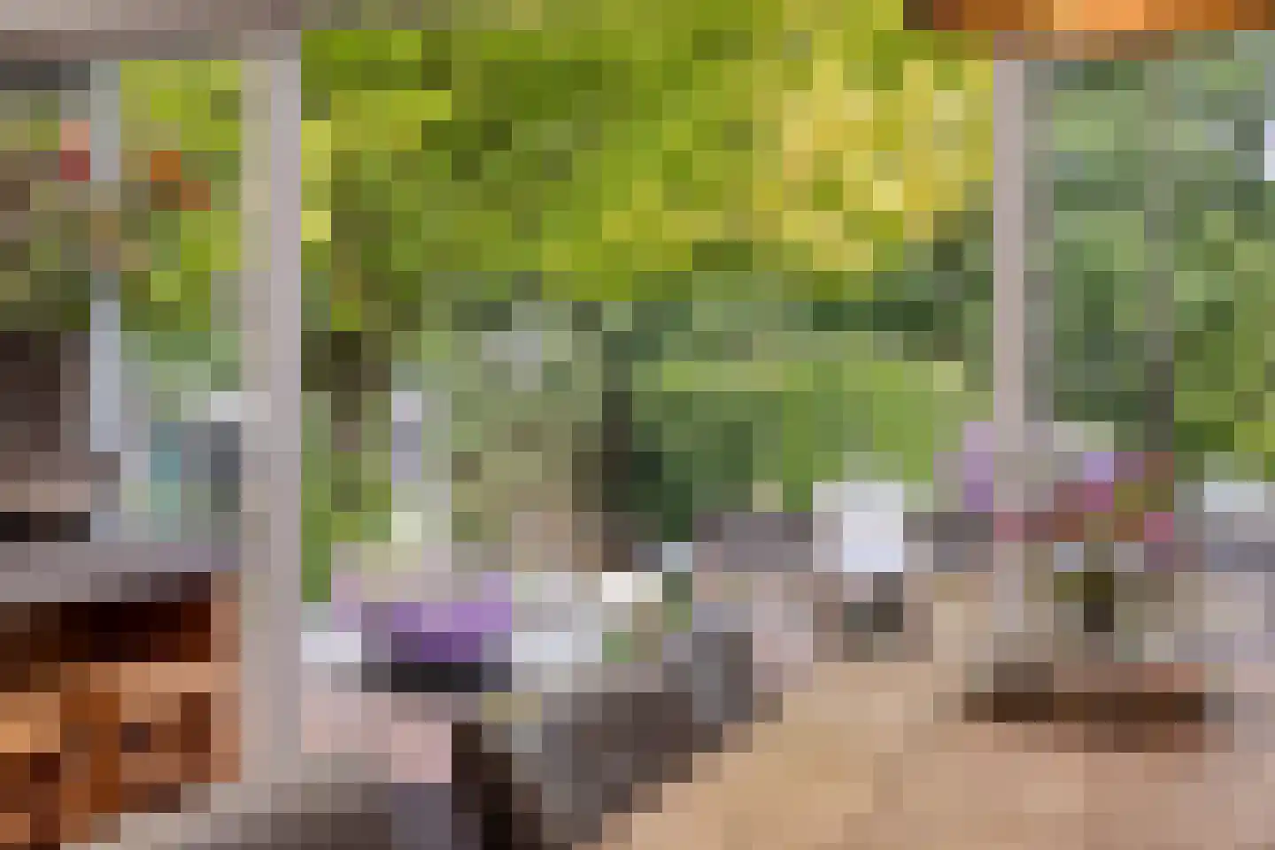 Fazantlaan 40 Mierlo thumbnail 31