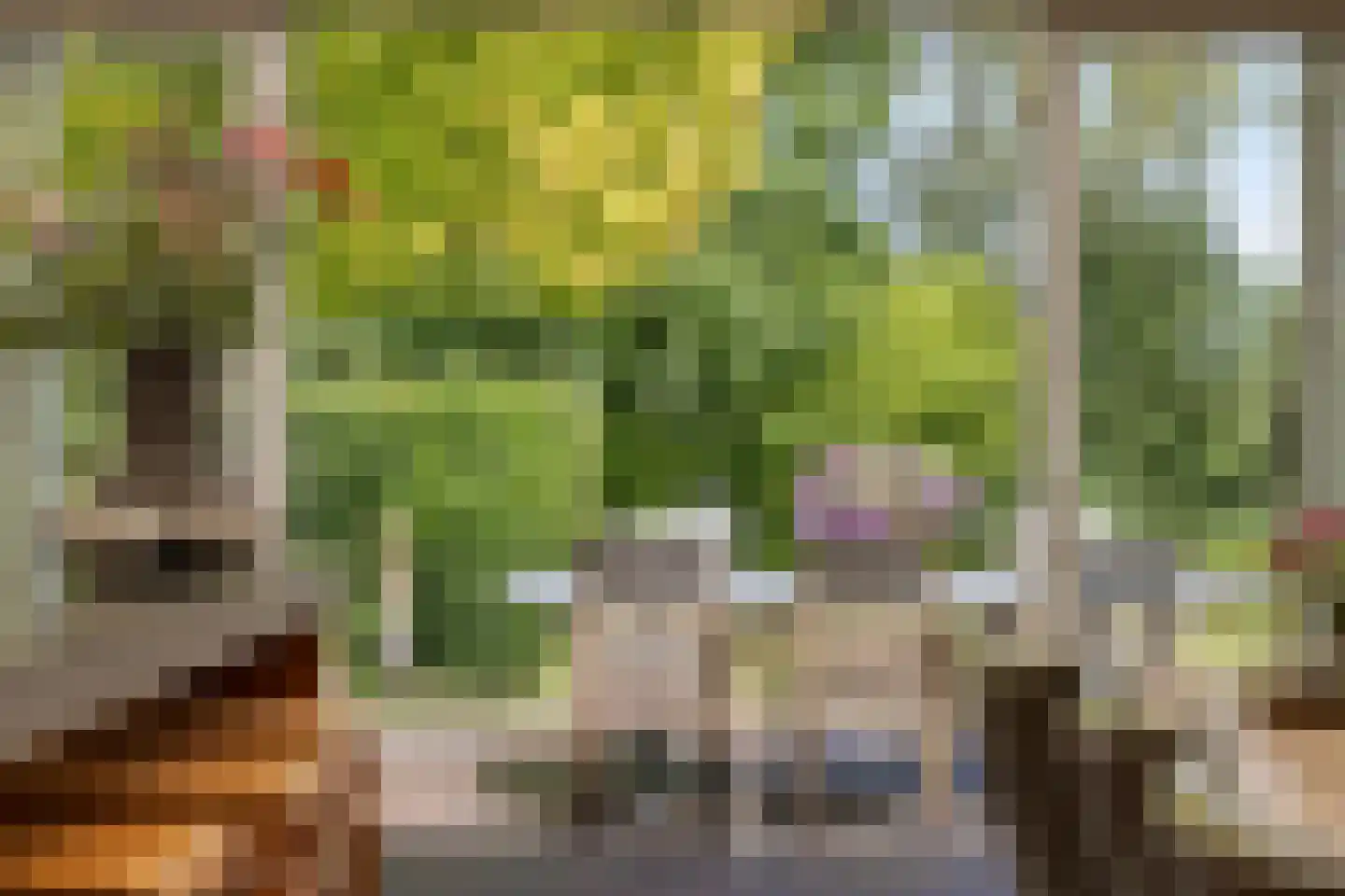 Fazantlaan 40 Mierlo thumbnail 32